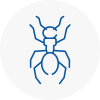 Ant Removals In Wanstead