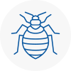 Bed Bug Extermination In Wanstead
