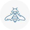Bee Nest Removal Wanstead