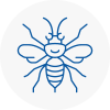 Wanstead Hornet Nest Removals