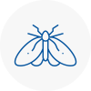 Moth Control Specialists In Wanstead