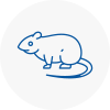 Rat Control Wanstead