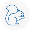 Wanstead Rodent Removals