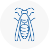 Wanstead Wasp Nest Removal